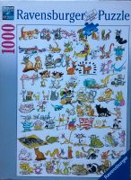 101 Katzen und 1 Maus - Puzzle 1000 Teile Baden-Württemberg - Schorndorf Vorschau