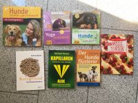 Sachbücher/Unterhaltungsliteratur/Jugendbücher Bayern - Weiding Vorschau