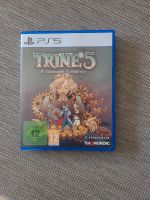 Trine 5 ps5 Bayern - Ingolstadt Vorschau