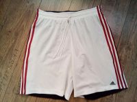 Adidas, Champion, Basketball Shorts Gr,L,2 Stück Sachsen-Anhalt - Stendal Vorschau