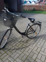 Fahrrad, Damenrad Nordrhein-Westfalen - Altenbeken Vorschau