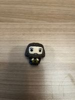 Rubeus Hagrid Kinder Joy Harry Potter Quidditch Saarland - Schmelz Vorschau