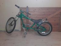 Schwinn Sting Ray Fahrrad Chopper Hessen - Trebur Vorschau