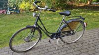 Gazelle Tournee 28 Zoll Damenrad Hollandrad Fahrrad Münster (Westfalen) - Aaseestadt Vorschau