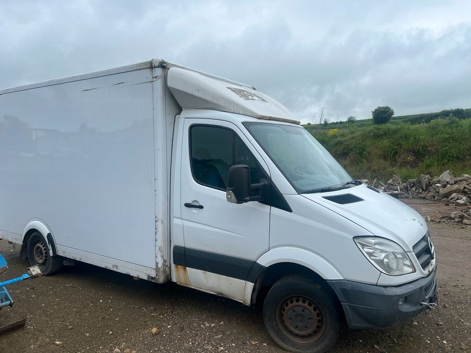 Mercedes Sprinter 316 in Andernach