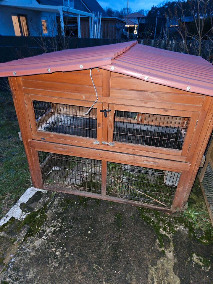 HASEN UND Meerschweinchen Stall in Rosenow