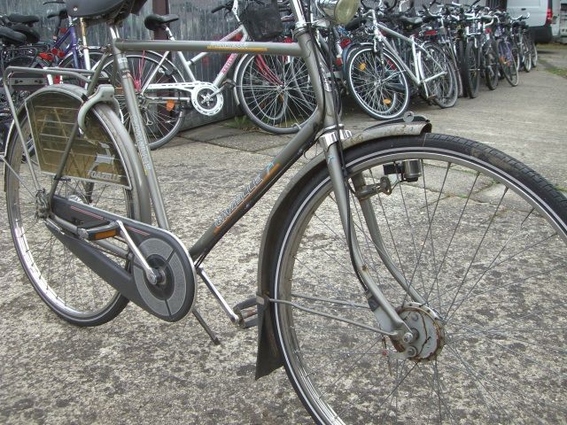 Hollandrad Gazelle RH 61cm in Bonn