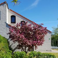 **FERIENHAUS auf TEXEL,Holl. f.6 P. KRIM-Park zu mieten** Hessen - Wiesbaden Vorschau