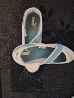 Ballerina puma Hessen - Schlitz Vorschau