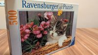 Ravensburger Puzzle - Katzenbaby - 500 Teile Dortmund - Kruckel Vorschau