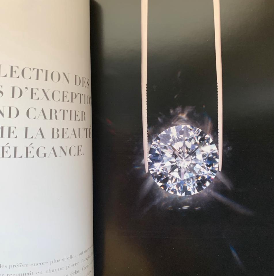 Cartier Collection joaillerie 2015 Buch Coffee Table Book Paris in Saarlouis