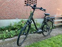 Rixe E-Bike Damenrad Rh.50cm Wenige Km / Frischer Akku Bielefeld - Ubbedissen Vorschau