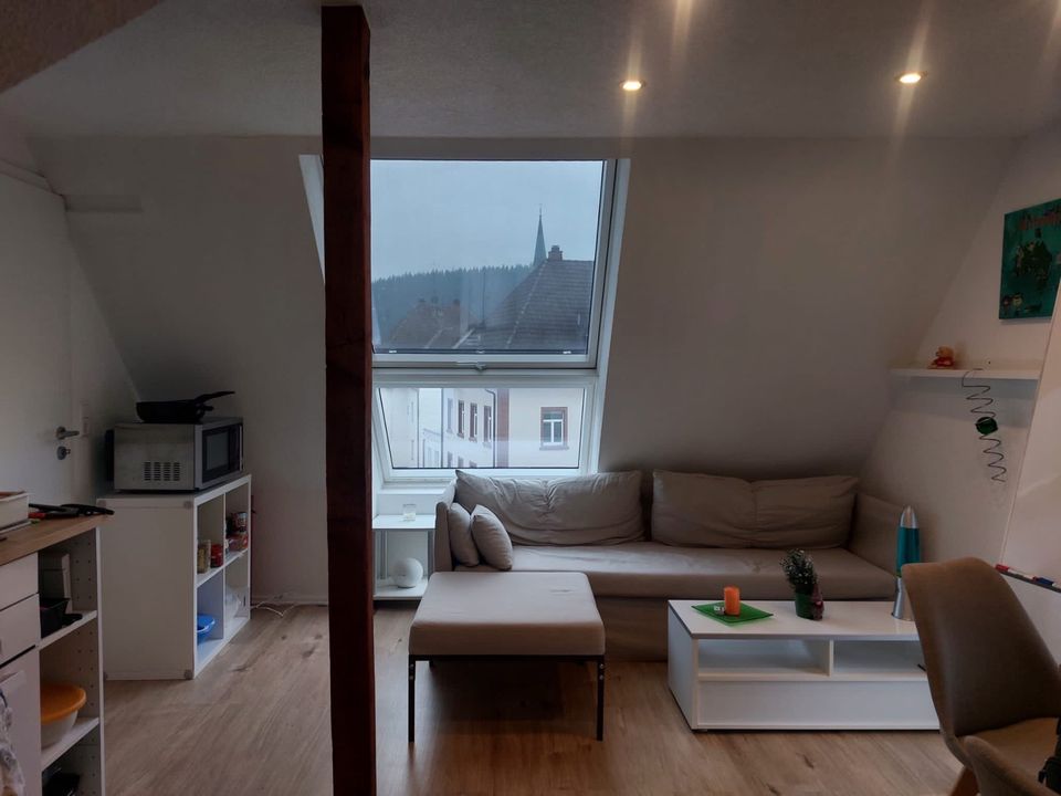 2 Zimmer Wohnung Dachgeschoss (Nähe FH) in Furtwangen