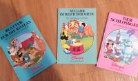 Disney‘s Weltenbummler Bücher Bayern - Senden Vorschau