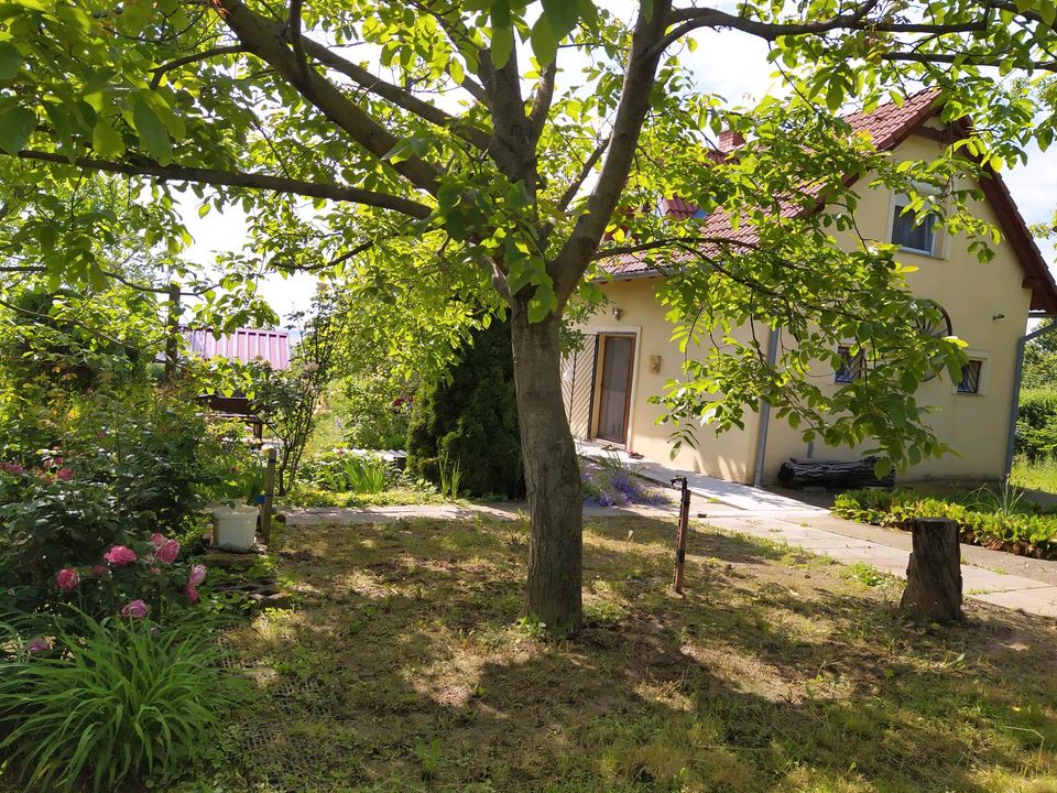 Grundstück mit Haus und Nebengebäude in Süd Ungarn zu verkaufen. in Pfronten