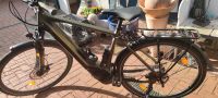 Bergamont E-Bike Neuwertig nur 99 km gelaufen mit Garantie Hessen - Meinhard Vorschau