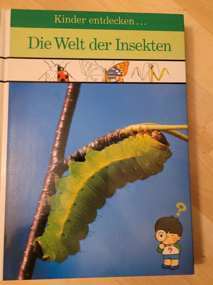 Set 4x Kinder entdecken Buch Erde Naturereignisse Insekten Wasser in Niddatal