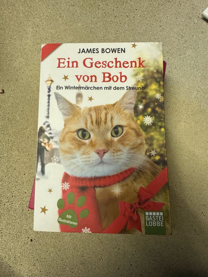 Ein Geschenk von Bob - Ein Wintermärchen mit dem Streuner in Lehre