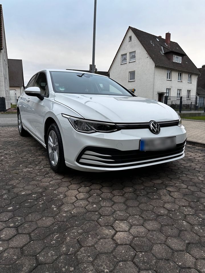 Golf 8 TDI in Holzminden