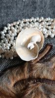 ♥️ Unikat Edler Muschelring 100%Natur Ring Schmuck Nordrhein-Westfalen - Herne Vorschau