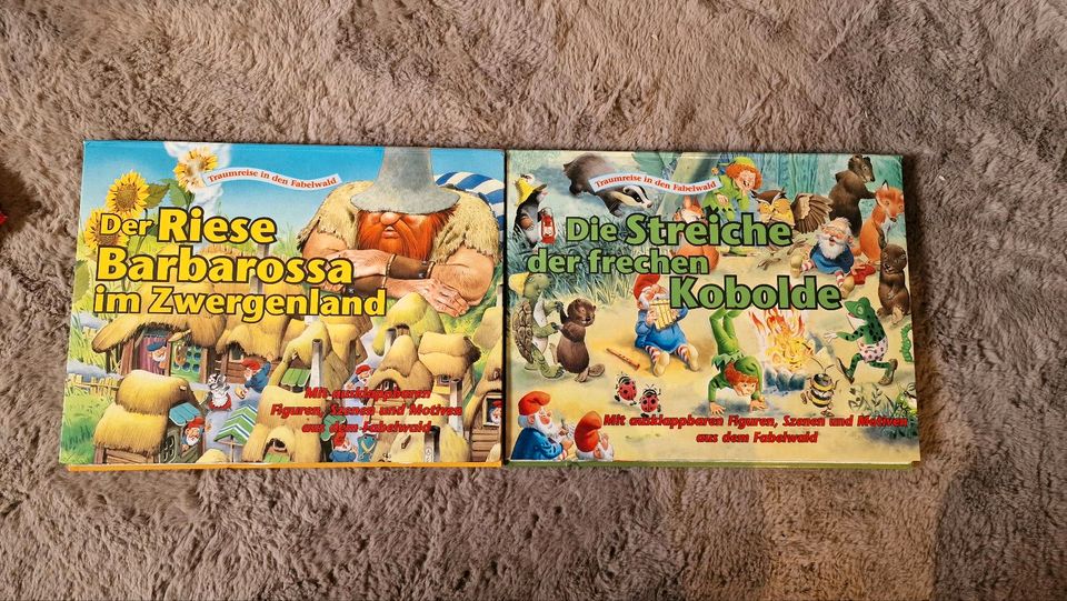 Walt Disney Kinderbücher Brock Haus Taschenbücher in Blankenhain