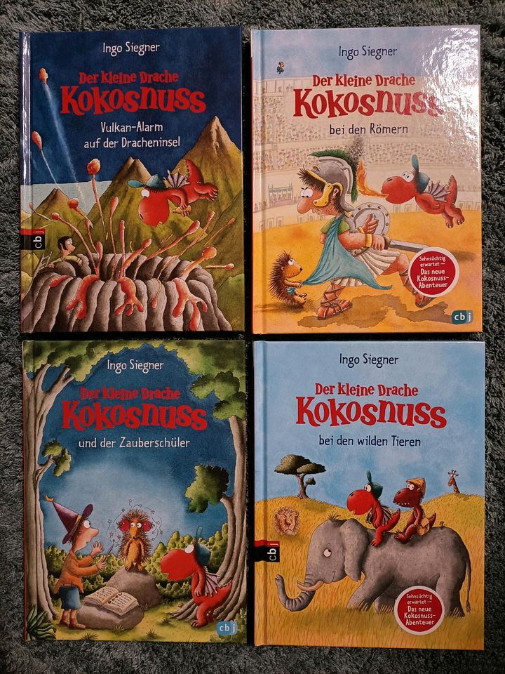 Bücher Der kleine Drache Kokosnuss verschiedene Titel in Erfurt