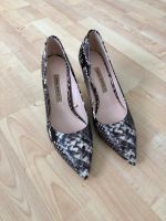 ZARA Pumps High Heels Snake echtes Leder taupe braun creme 37 NEU Leipzig - Leipzig, Zentrum-Nord Vorschau