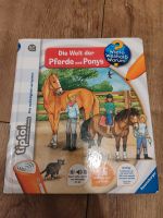 Tiptoi Buch Die Welt der Ponys Brandenburg - Eggersdorf Vorschau