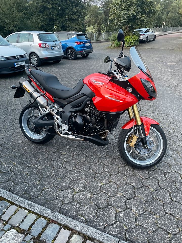 Triumph Tiger 1050 ABS in Schmallenberg