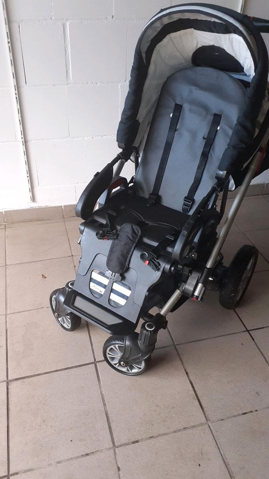 Hartan Kinderwagen VIP in Schlangen