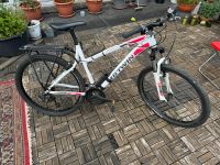 Mountainbike damen inkl ABUS-schloss,Getränkehalter,Gepäckträger Bremen-Mitte - Bremen Altstadt Vorschau