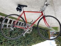 Suche Damenrad mit Rohloff Nabe Nordrhein-Westfalen - Gütersloh Vorschau