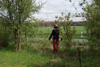 Pflasterarbeiten Zaunbau Baggerarbeiten Garten & Landschaftsbau Nordvorpommern - Landkreis - Velgast Vorschau