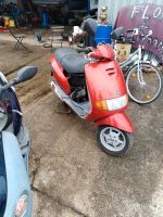 Motorroller Vespa Sfera 125 Viertakt Niedersachsen - Wilhelmshaven Vorschau