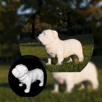 SUCK UK Keramik Spardose Bulldogge Wachhund weiß Nordrhein-Westfalen - Paderborn Vorschau