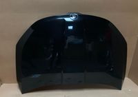 ORIGINAL Skoda Karoq 57A Motorhaube SCHWARZ Hannover - Linden-Limmer Vorschau