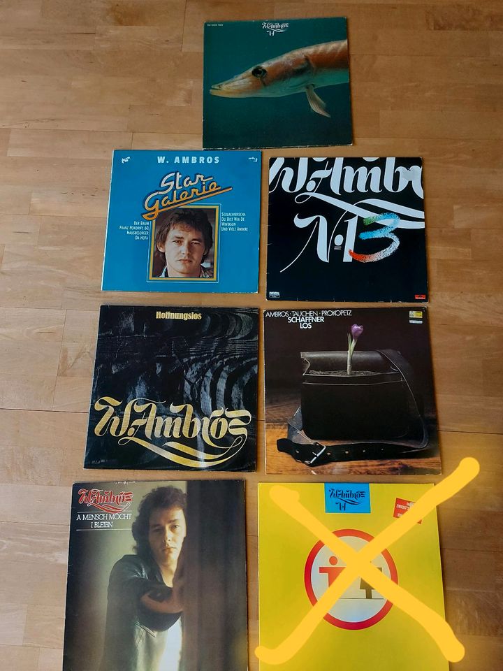 Schallplatten von Wolgang Ambros in Dachsbach