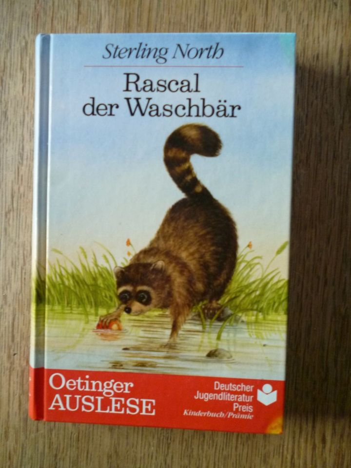 "Rascal der Waschbär" in Wenden