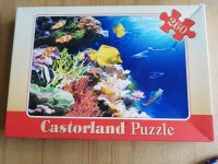 Puzzle "Castorland" , 260 kleine Teile, vollständig ! München - Pasing-Obermenzing Vorschau