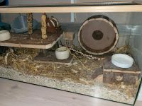 Hamsterkäfig Nagarium Rheinland-Pfalz - Schwegenheim Vorschau