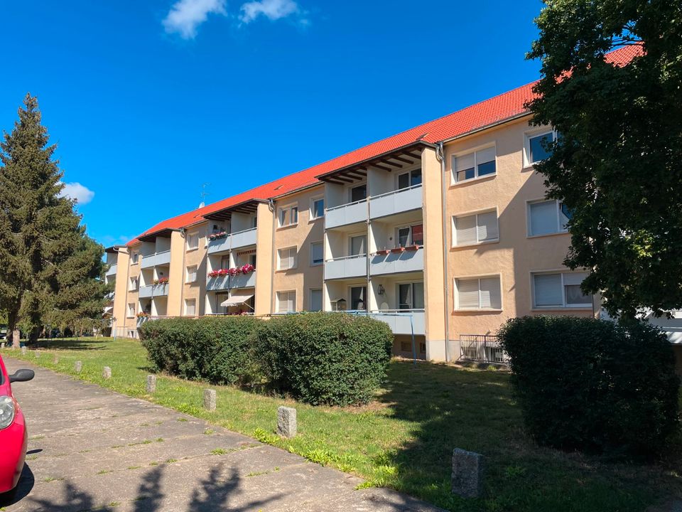 Helle 3 Zimmer Wohnung mit Balkon, Hochparterre (810.1901) in Oranienbaum-Wörlitz