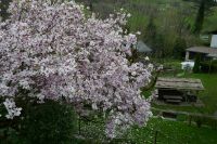 Vermiete Gartenhäuschen in den Bergen an kreative Persönlichkeit Bayern - Marktschellenberg Vorschau