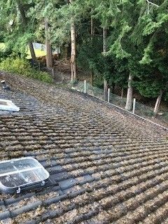 Dach reparaturen/ reinigung Garagendach, Carport, Dachgauben etc. in Dassendorf