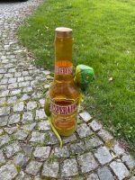Desperados Deko Flasche aufblasbar Bayern - Bruckberg bei Landshut Vorschau