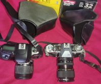 Kamera Fujica AX-5 Nikon F50 & Zubehör Nordrhein-Westfalen - Meerbusch Vorschau
