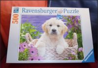 Ravensburger Puzzle 500 Teile Hund-Motiv (Vollständig) Niedersachsen - Goslar Vorschau