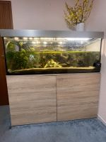 Aquarium Eheim proxima 325 Classic LED mit Unterschrank Eiche Kreis Pinneberg - Wedel Vorschau