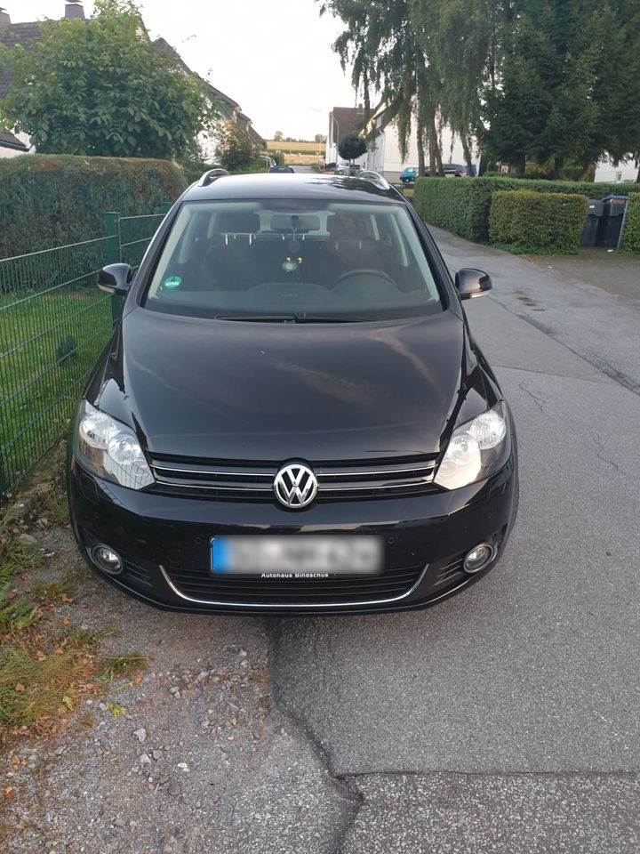 Volkswagen Golf Plus 5 in Warstein