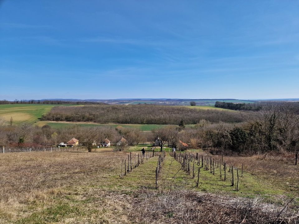 (ABAB) Renovierte Weinbergpinze mit großem Grundstück  in Ungarn (oben Fernblick) in Oberstaufen