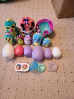 Hatchimals Nordrhein-Westfalen - Recklinghausen Vorschau